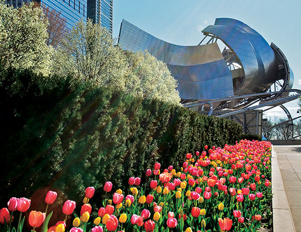 Millennium Park (Photo: Scott Stewart, Millennium Park Foundation)