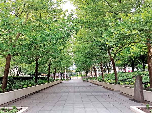 Millennium Park (Photo: Scott Stewart, Millennium Park Foundation)