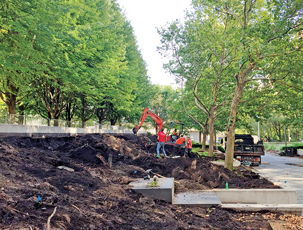 Millennium Park (Photo: Scott Stewart, Millennium Park Foundation)