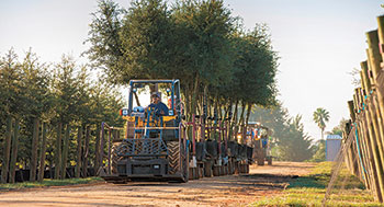 Cherrylake crew member (Photo: Cherrylake)