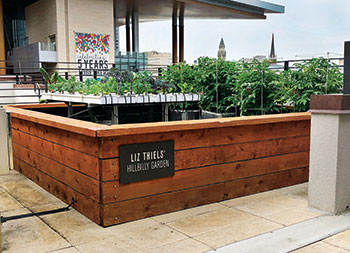 Visitors to the Country Music Hall of Fame will notice the recently constructed raised “hillbilly garden” the Greathouse Co. built. (Photo: The Greathouse Co.)