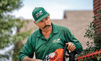 A&A employee trimming (Photo: Broadview Motion)