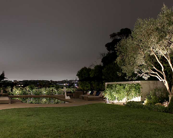 (Photo by Bronwyn Miller, Eyescapes)