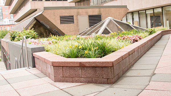Flower bed at Landmark Square (Photo: Landmark Square)