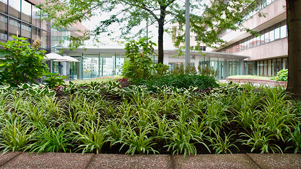 Plantings at Landmark Square (Photo: Landmark Square)