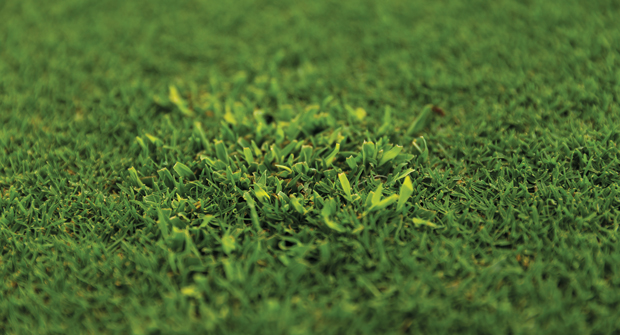 Photo: Corteva Agriscience