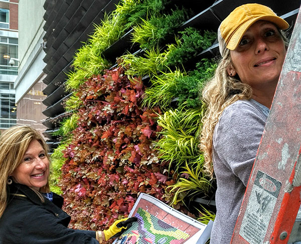 Green wall install (Photo: Raimondi Horticultural Group)