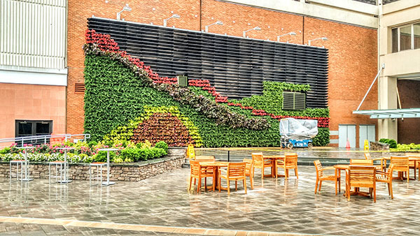 Green wall (Photo: Raimondi Horticultural Group)
