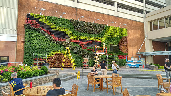 Green wall (Photo: Raimondi Horticultural Group)