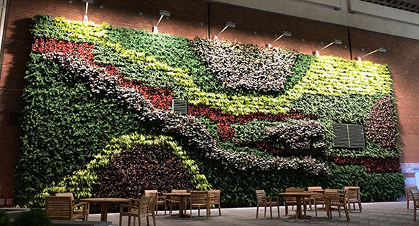 Green wall (Photo: Raimondi Horticultural Group)