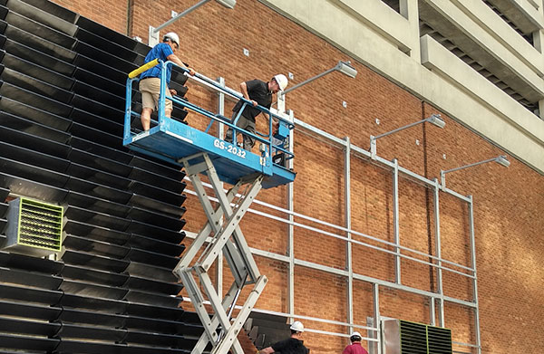 Green wall install (Photo: Raimondi Horticultural Group)