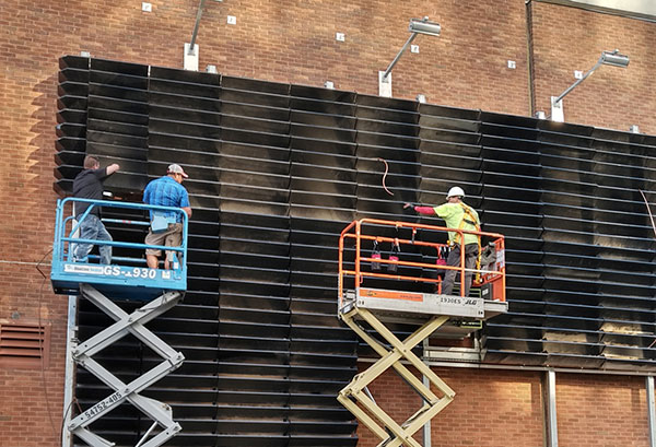 Green wall install (Photo: Raimondi Horticultural Group)
