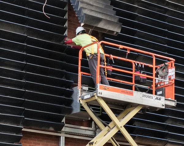Green wall install (Photo: Raimondi Horticultural Group)
