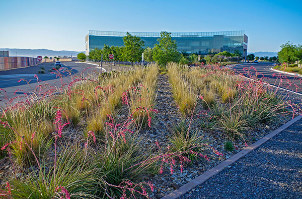 Mesa del Sol development (Photo: Yellowstone Landscape)