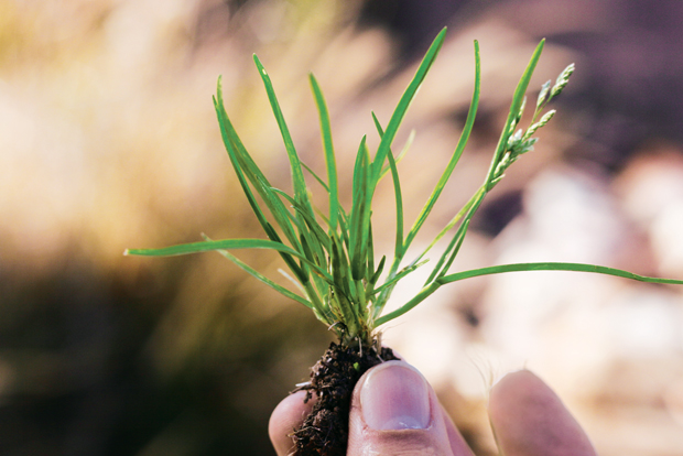 Photo: Corteva Agriscience