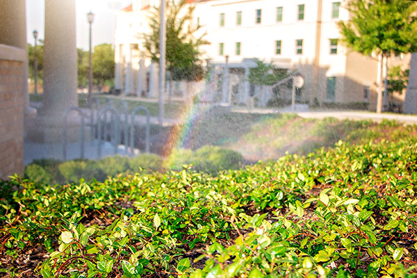Irrigation project (Photo: Andy's Sprinkler, Drainage & Lighting)