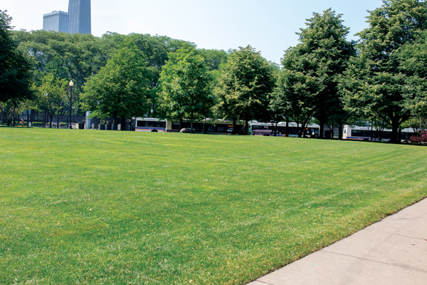 Photo: Moore Landscapes; NALP