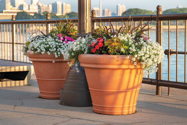 Photo: Moore Landscapes; NALP