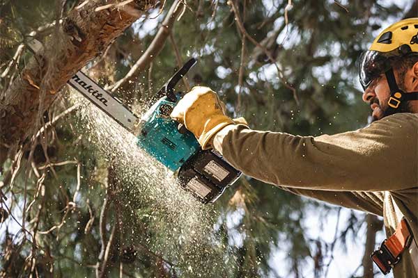 Photo: Makita USA