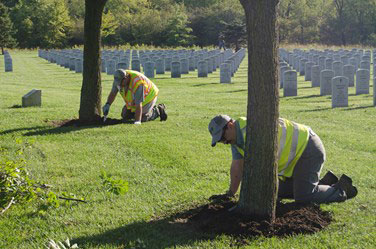 Volunteers at Saluting Branches event (Photo: Davey Tree Expert Co.)