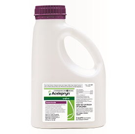 Photo: Syngenta