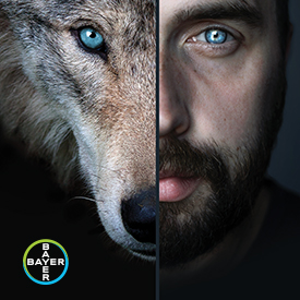 Photo: Bayer