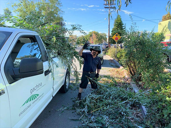 Gachina employees help with a cleanup in Menlo Park, Calif. (Photo: Gachina Landscape Management)