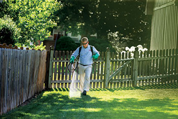Man spraying lawn (Photo: Bayer)