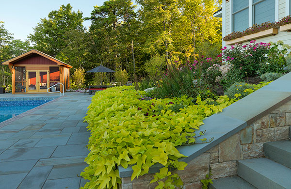 Hardscapes project (Photo: Susan Teare)