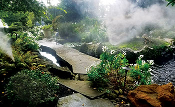 Area being irrigated (Photo: Horizon Landscapes Co.)