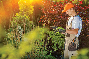 Landscaper using an app (Photo: iStock.com/welcomia)