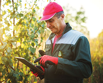 Landscaper using an app (Photo: iStock.com/dusanpetkovic)
