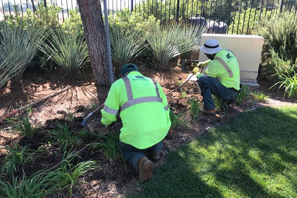 Irrigation installation (Photo: Brittany Carr Seely)