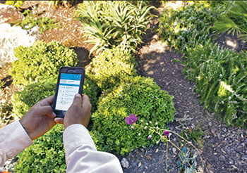 Irrigation app (Photo: Gachina Landscape Management)