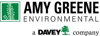 Logo: Amy S. Green Environmental, a Davey Company