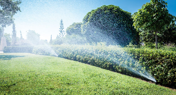 Photo: fcafotodigital/iStock / Getty Images Plus/Getty Images