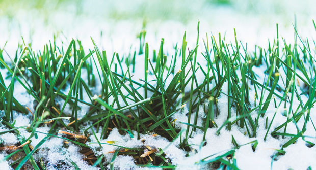 Photo: CatLane/iStock / Getty Images Plus/Getty Images