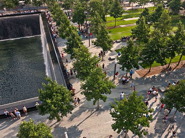 Landscaping at 9/11 Memorial (Photo courtesy of PWP Landscape Architecture)