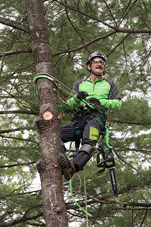 Ken Palmer (Photo courtesy of Greenworks Commercial)