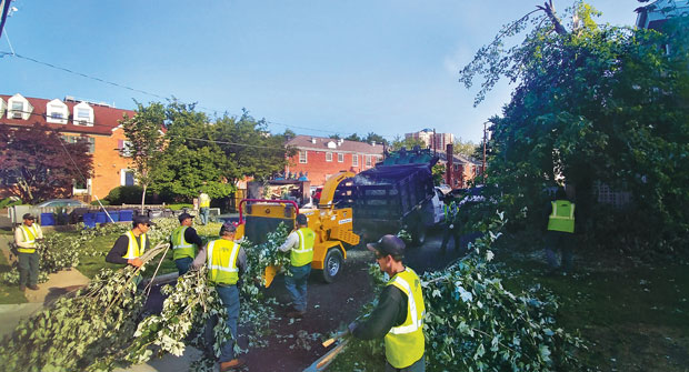 While landscape companies say work was plentiful in 2019, it was often hard to find workers like those pictured here. (Photo: GreenSweep)