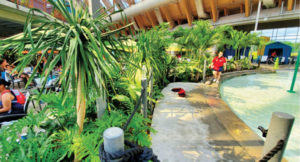 Owner Steven Wagner credits his background knowledge of tropical plants to earning his landscape development degree in Florida. He says it has helped immensely with any challenges he encounters with the tropical foliage indoors at the water park. (Photo: Steven Wagner)