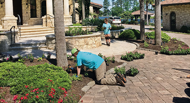 Crews working on a project (Photo: Carolina Colorscapes)