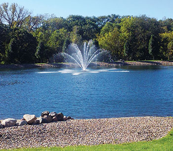 Pond with a fountain (Photo: A+ Watercare and Fountains)