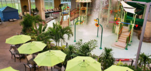 Even plants that have some distance from the chlorine-filled water can get misted and sprayed from the water park rides. (Photo: Steven Wagner)