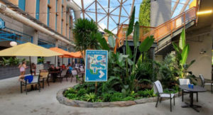 A variety of tropical plants were selected to thrive in this New York water park. (Photo: Steven Wagner)