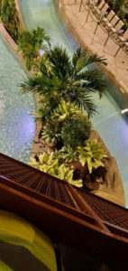 A view from overhead showing the indoor water park's hard-to-reach landscape beds. (Photo: Steven Wagner)