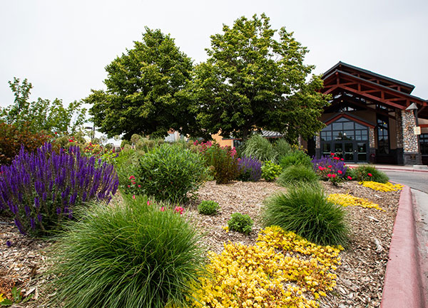 Trails Recreation Center (Photo: Bryan Grant, Pixil Studio Photography)