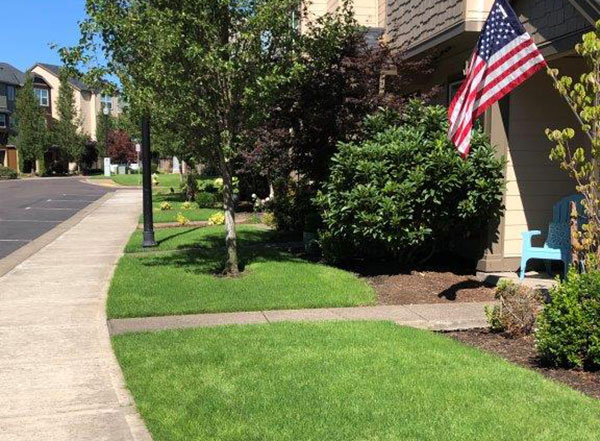 Renovated turf areas (Photo: Octavio Gonzalez, Pacific Landscape Management)
