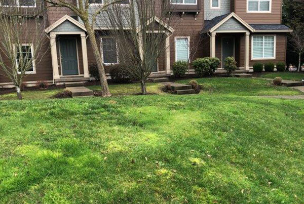 Damaged turf area (Photo: Octavio Gonzalez, Pacific Landscape Management)