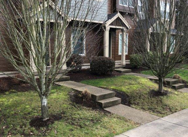 Front areas of houses (Photo: Octavio Gonzalez, Pacific Landscape Management)